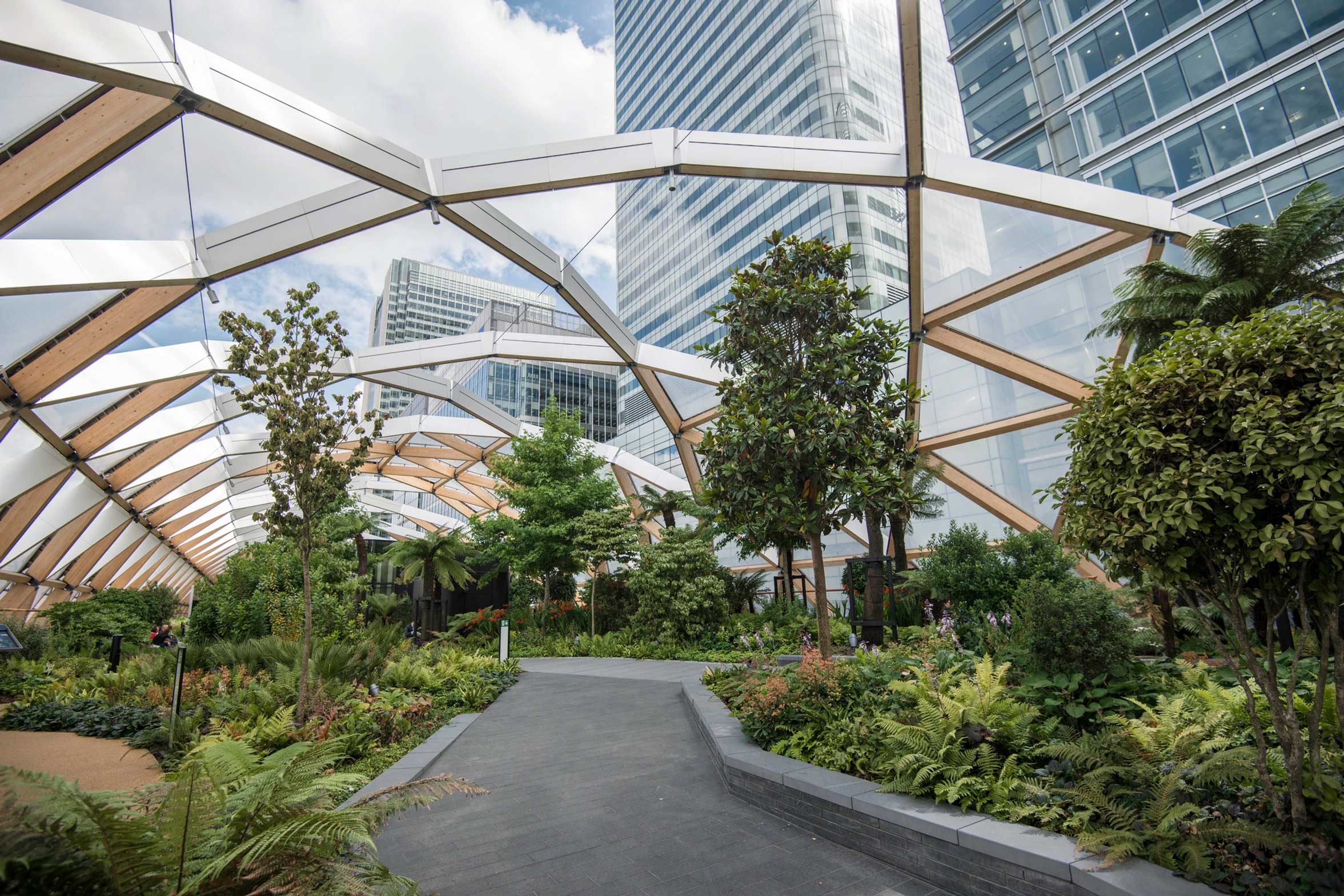 Exotic plants in the Crossrail Place Roof Garden in Canary Wharf