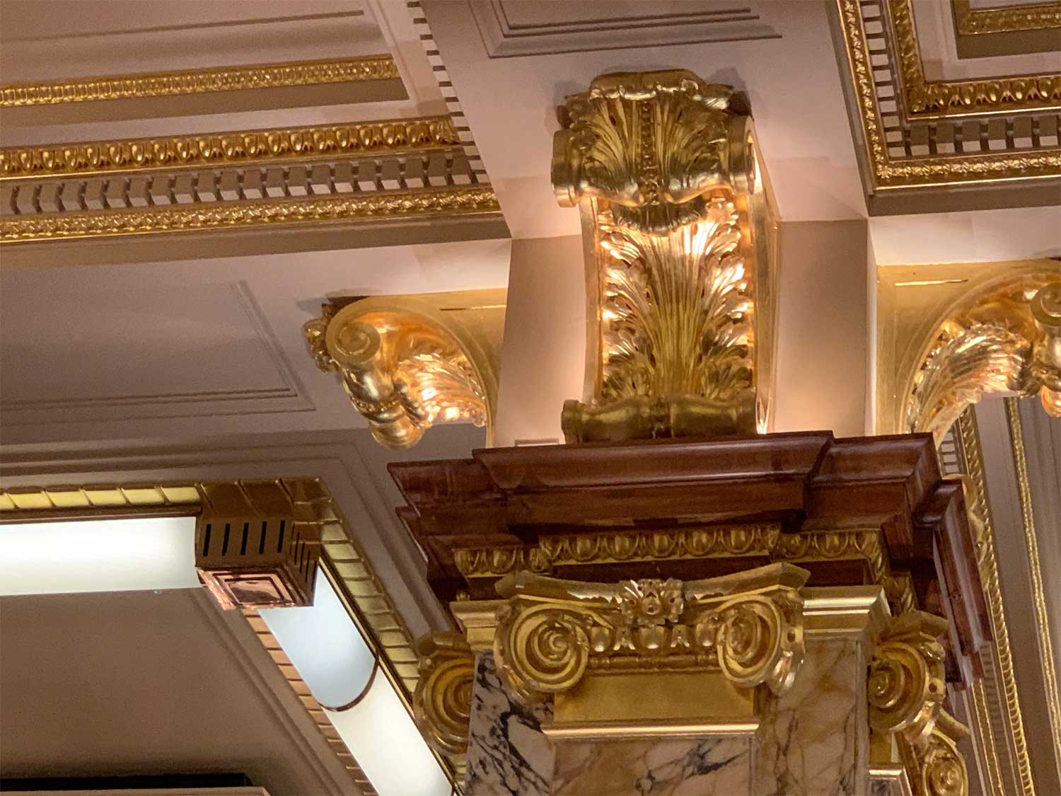 Gilded Ceiling Cornice