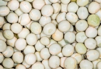 Dried peas are rolled around on a tray to mimic the sound of the sea