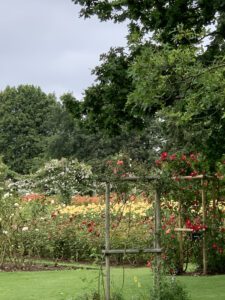 The Queen Mary's Rose garden is made up of four distinct areas.