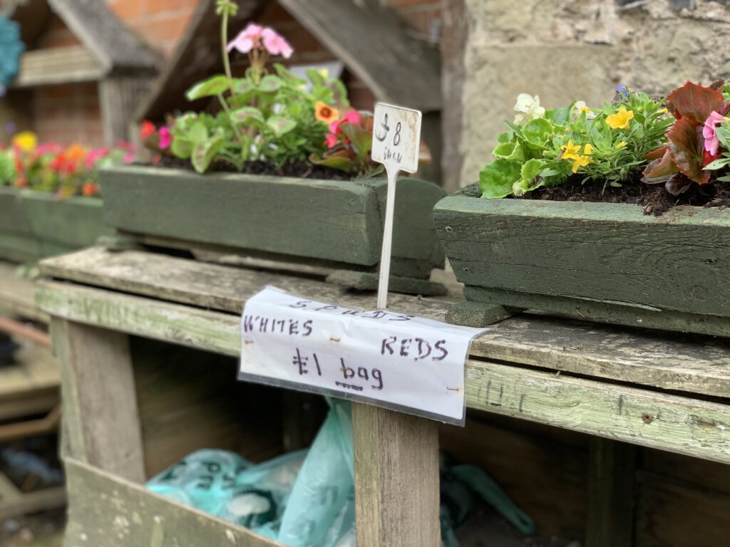 Garden grown produce outside houses in Fire
