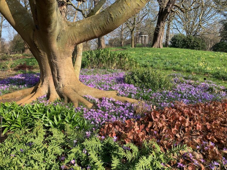 Save money at Kew Gardens